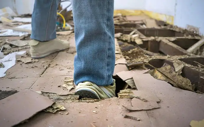 A person is walking through an unstable wooden structure. They are wearing blue jearns and tan shoes. Their right foot has fallen through the wooden flooring, perhaps as a result of termite damage.
