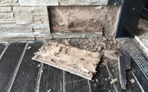 Termite damage in a slab construction home where termites have destroyed the wood paneling.