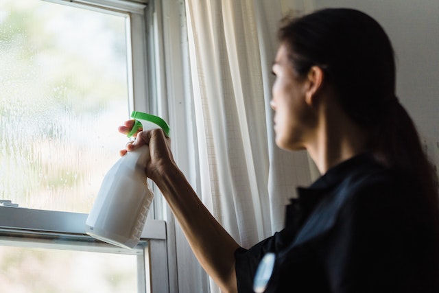 Woman using a spray for silverfish on a window