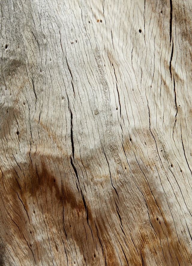 Damaged wood