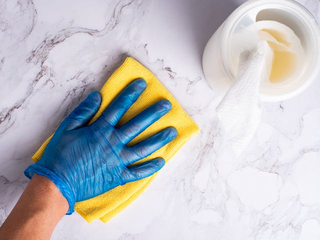 A person using gloves, a cloth, and wet wipes to clean up rodent urine and feces