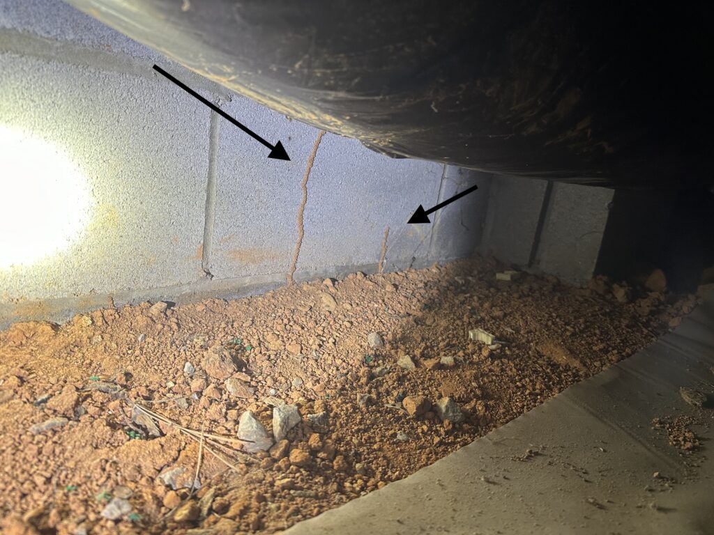 termite tubes on foundation wall