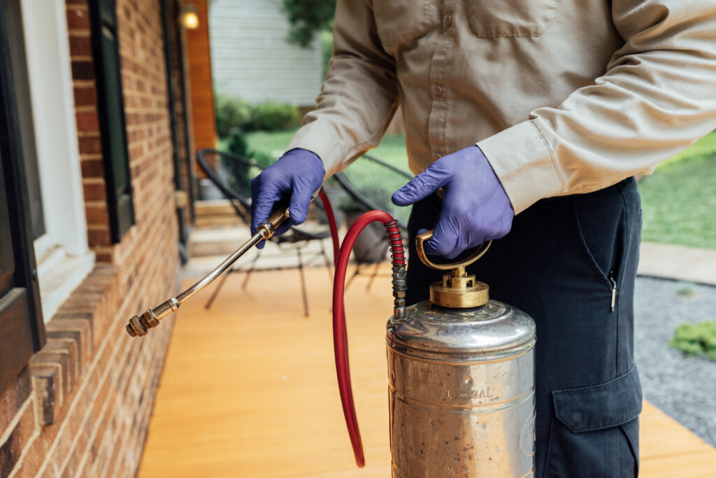 pest control treatment