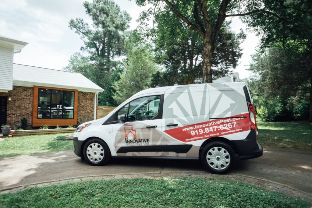 Spring Pest Inspection