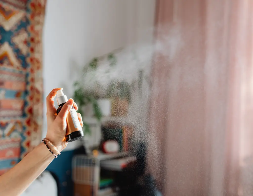 DIY Pest Control Mistakes