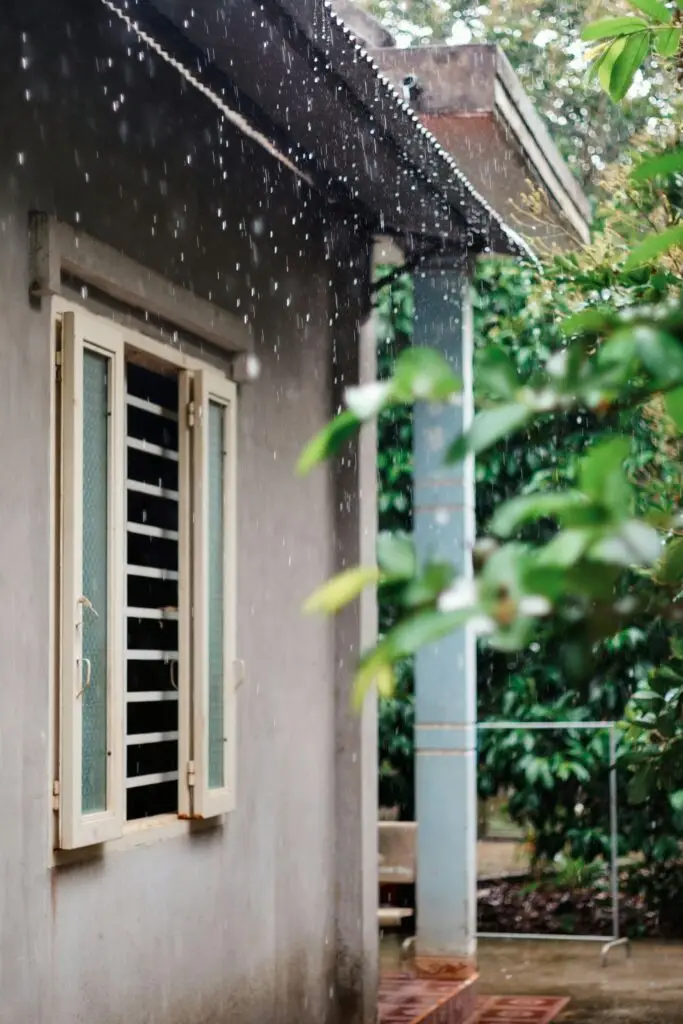 Rain